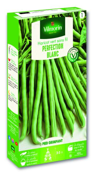 Légumes Secs - Haricot Blanc de Juillet - face recto